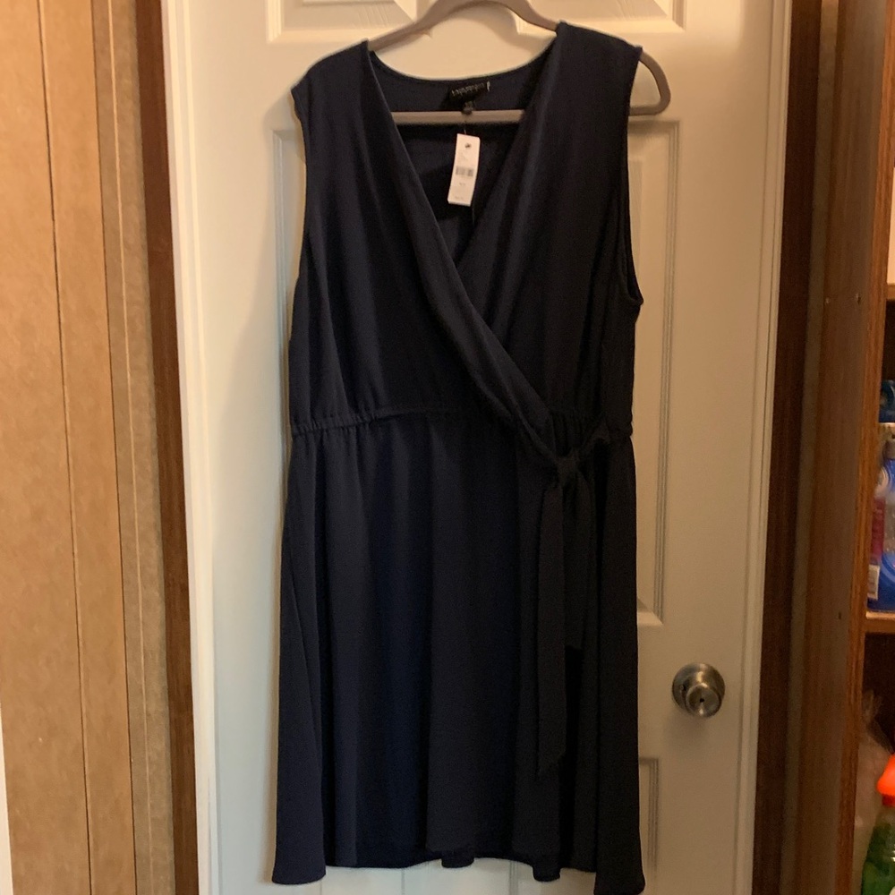 Lane Bryant Deep Black Midi Dress, designed waist and lovely on. Adds class!
